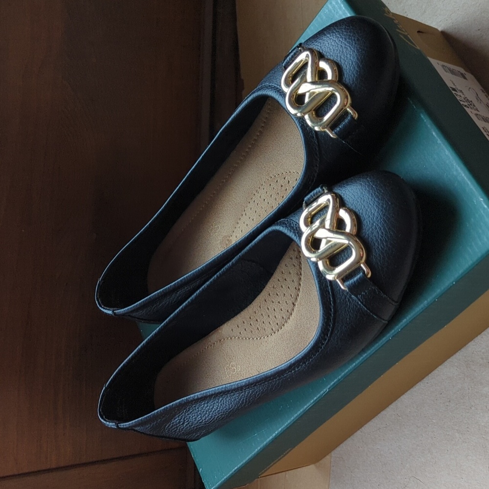 Aerosoles flats